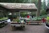 plant sale area-5